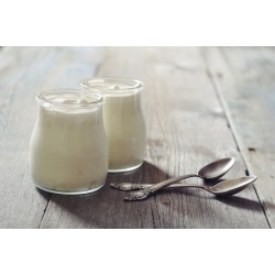 Greek Yoghurt Culture