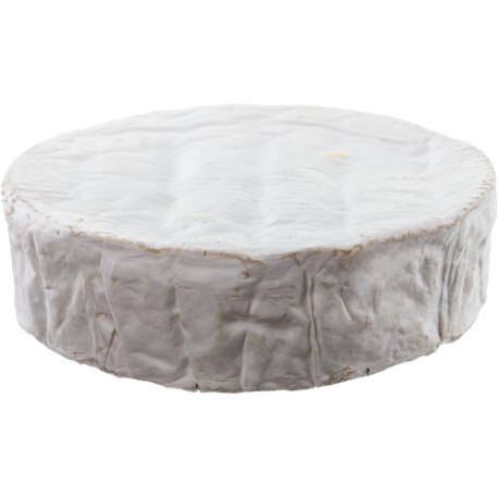 white mold, camembert, brie