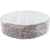 white mold, camembert, brie