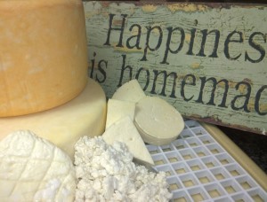 Aug 2015 Hartbeespoortdam cheese courses